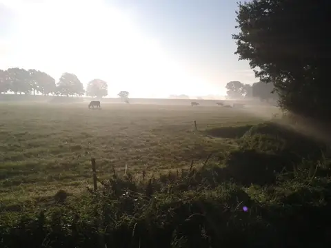 Camping de Eikelaar
