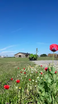 Camping de Eikelaar