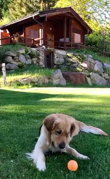 Camping Village Yolki Palki