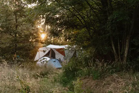 Natuurkampeerterrein Gloeiend Groen