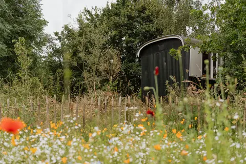 Natuurkampeerterrein Gloeiend Groen