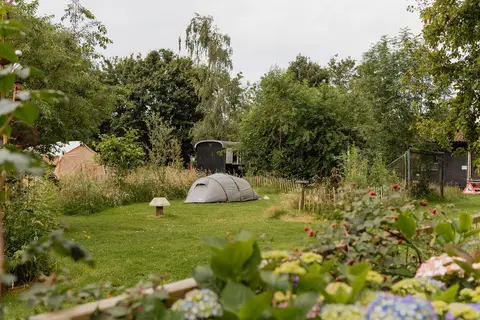 Natuurkampeerterrein Gloeiend Groen
