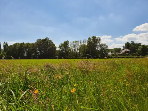 Boerderijcamping “Het Boltsebroek”