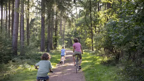 Camping Emmen