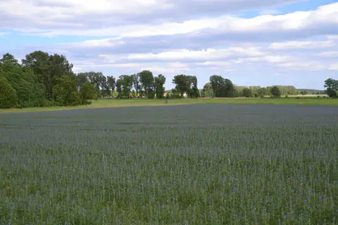 Schmidt's Campingplatz