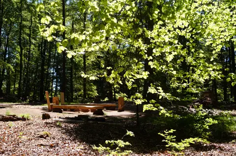 Trekking Pfalz: Hauenstein