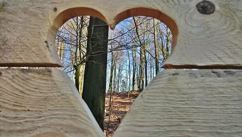 Trekking Pfalz: Hauenstein