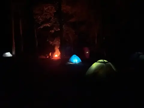 Trekking Pfalz: Hauenstein