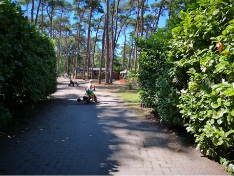 Camping Twente