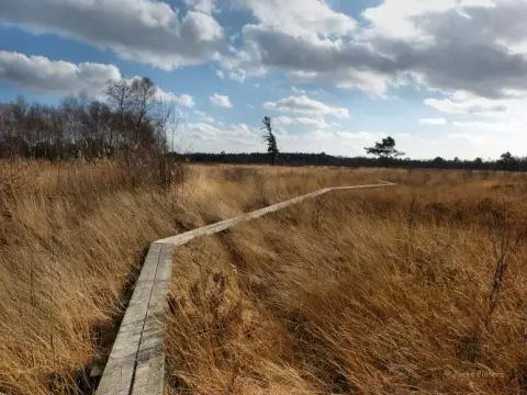 De Harmienehoeve