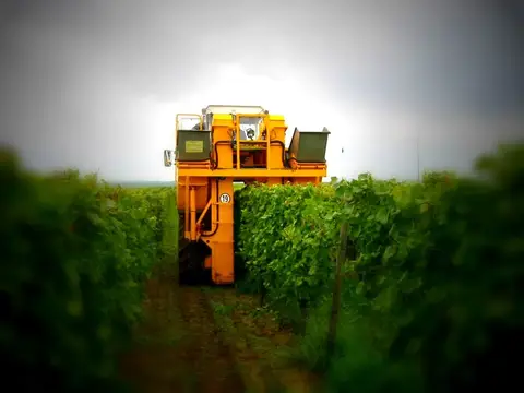 Weingut Seilheimerhof