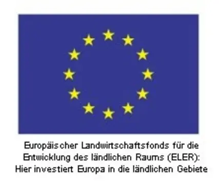 Wohnmobilstellplatz Stadt Hausach