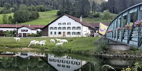 Camping Bout du Pont
