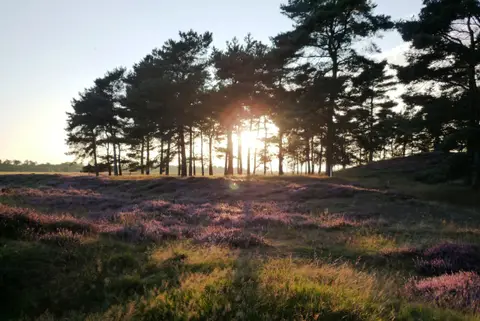 De Deelderij