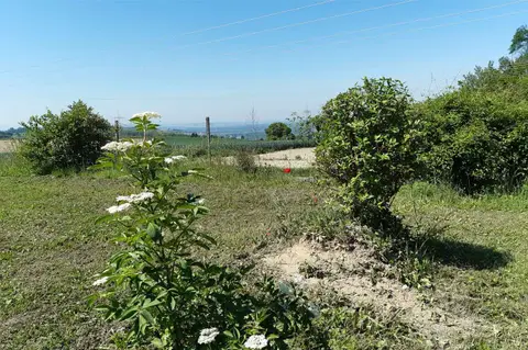 Weingut und Weinschenke Zimmermann