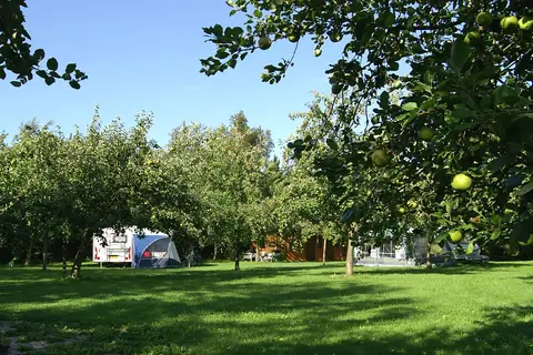 Door's Logies Camping