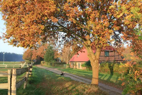 WoMo Platz Bruchmühle