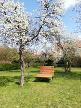 Viehmarktplatz