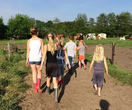 De Blökke