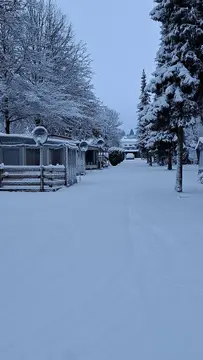 Campingplatz Bleialf