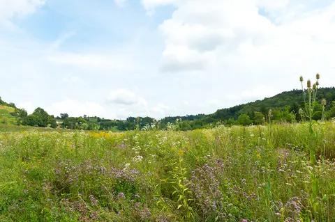 Camping Aumühle