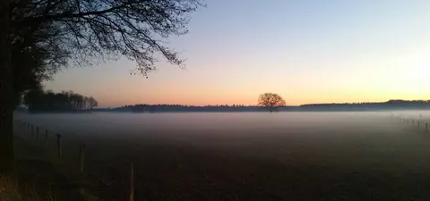 Roelage