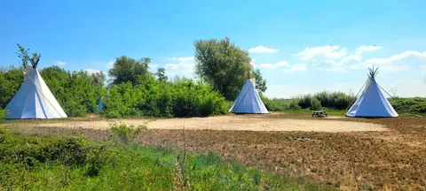 CampSpirit