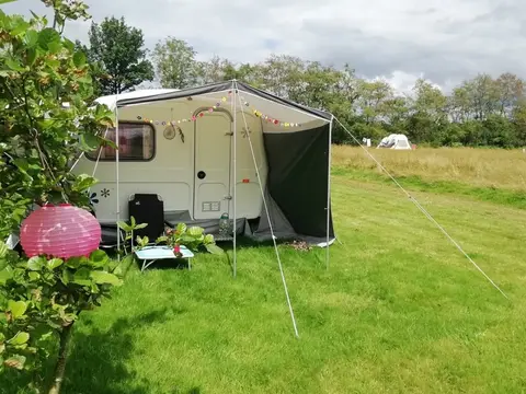 Bloemenparadyske