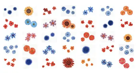 Bloemenparadyske