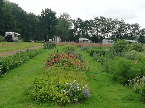 Bloemenparadyske