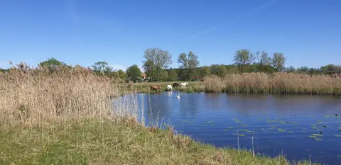 Campingplatz Jägerbude