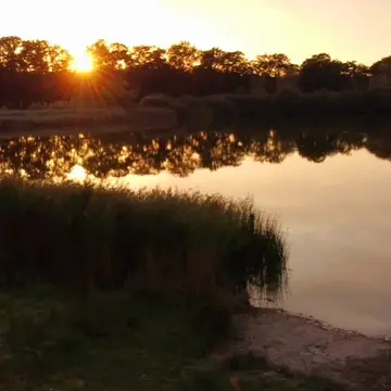 Camping Wildzoom