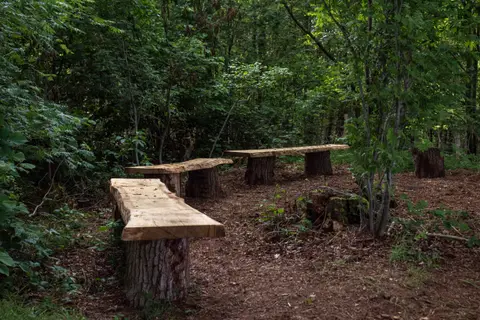 Camping Wildzoom