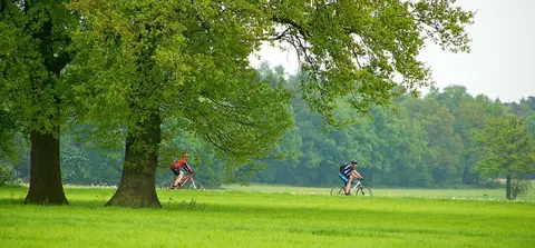 Camping De Slangenbult