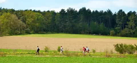 Camping De Slangenbult