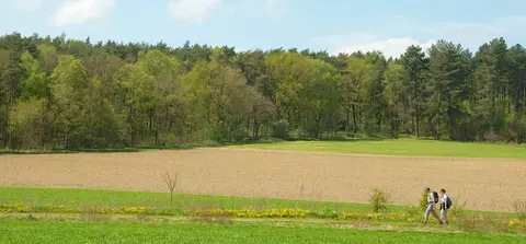Camping De Slangenbult