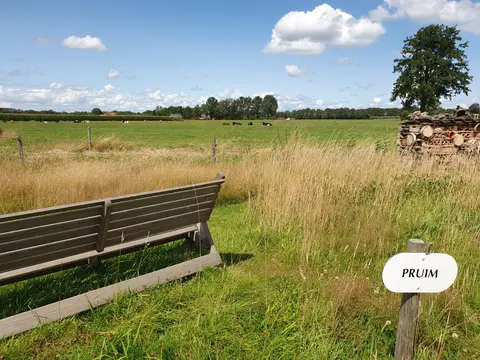 Camping 't Eikenbos