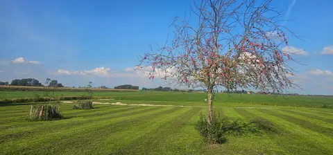 De Gouden Ribben