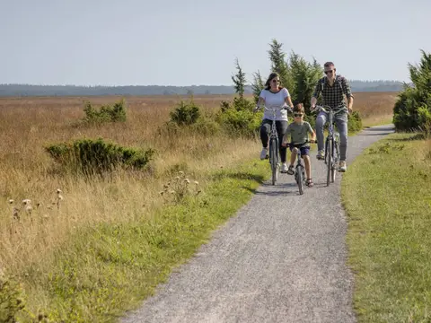 Camping Het Hazenpad