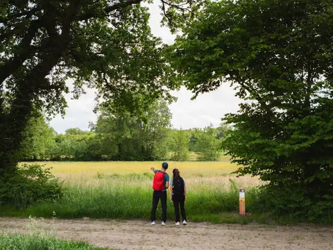 Camping Het Hazenpad