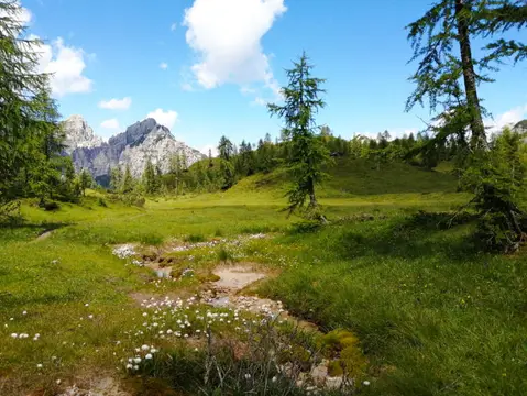 Zoncolan Camping Caravan