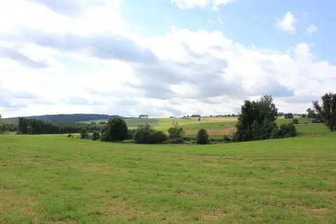 Stellplatz am Waldrand unweit des Kirnbergsees