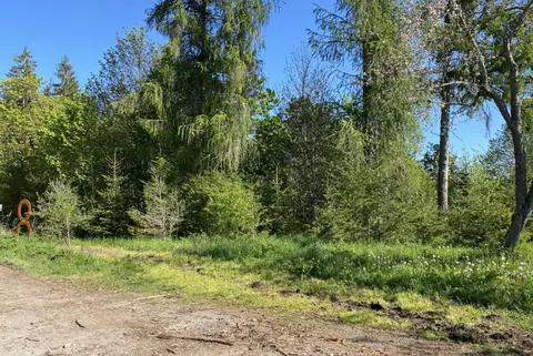 Stellplatz am Waldrand unweit des Kirnbergsees
