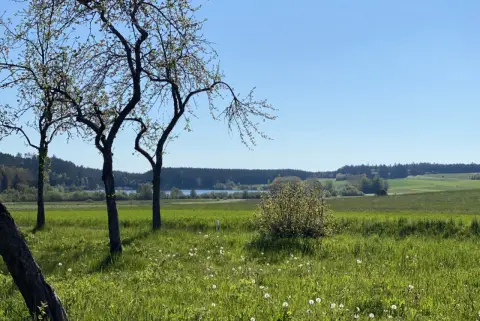 Stellplatz am Waldrand unweit des Kirnbergsees