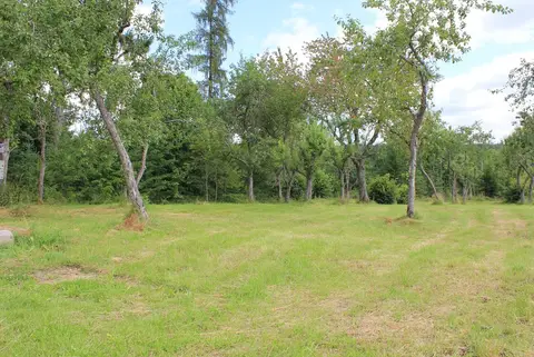 Stellplatz am Waldrand unweit des Kirnbergsees
