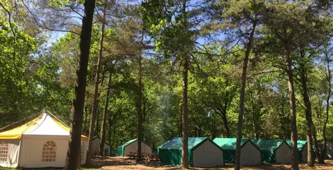 Veluwe Groepskampeercentrum
