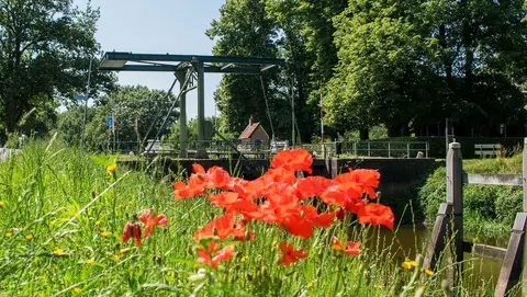 Molecaten Park De Koerberg
