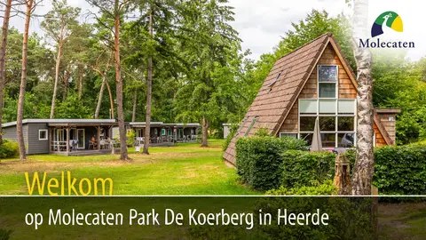 Molecaten Park De Koerberg