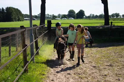 Familiecamping Hendriks Wijkje