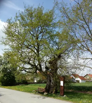 Wohnmobilstellplatz Gemeinde Uttenweiler